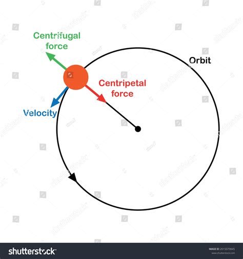 Centripetal Centrifugal Force Diagram Stock Vector Royalty Free