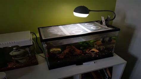 How To Cut Plastic Aquarium Hood Tips And Tricks For Perfect Results