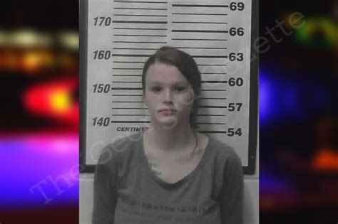 Mckayla Story Meriwether County Jail Bookings