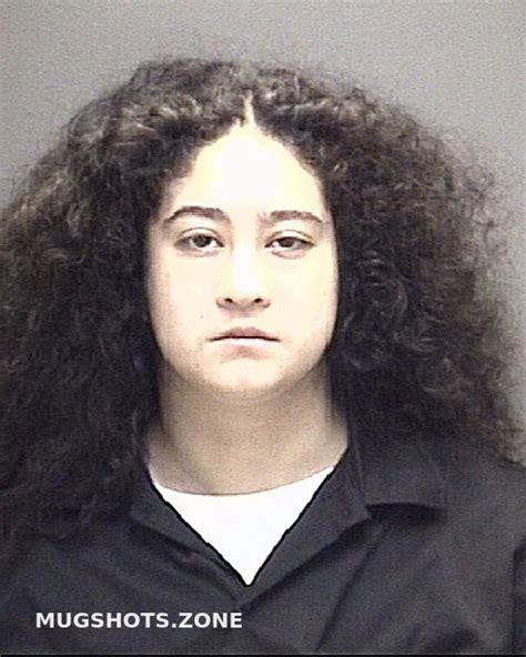 Cortes Sophia Rose Galveston County Mugshots Zone