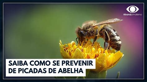 Ataques De Abelhas Aumentam No Calor Saiba Como Se Prevenir Bora