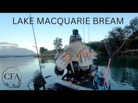 Fishing Lake Macquarie Catching Bream Kayak Fishing YouTube