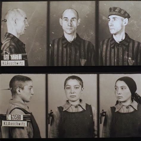 Seeing Auschwitz A Haunting Human Reality Of The Holocaust