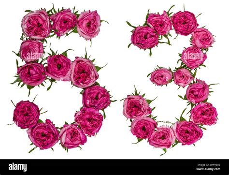 Arabic Numeral Fifty Three From Red Flowers Of Rose Isolated On