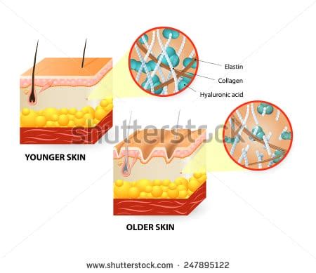 stock photo visual representation  skin    lifetime
