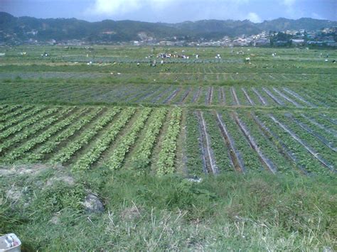 Anyong Lupa Lambak Sa Pilipinas | bansana