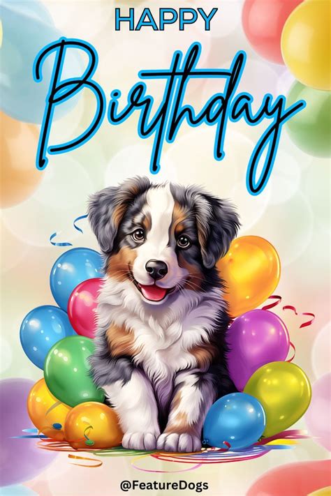 Herzlichen Glückwunsch Happy Birthday Hund Australian Shepherd