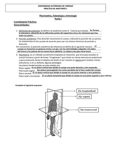 Practica Terminologia Y Regiones Corporales Universidad Autnoma