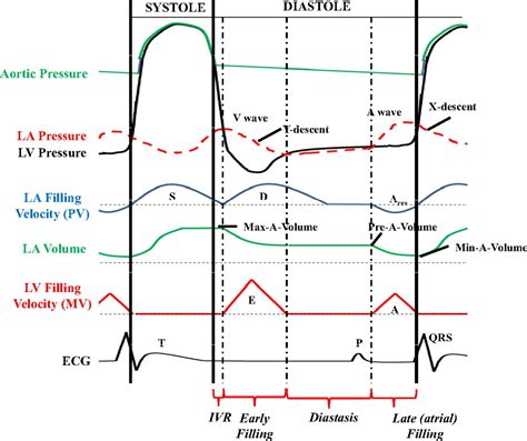 Diastolic Dysfunction And Risk Of Atrial Fibrillation Circulation