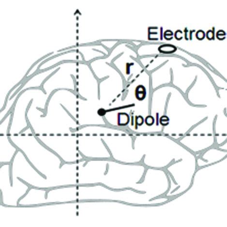 | Calculating an electric dipole field. | Download Scientific Diagram