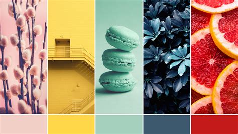 5 Summer 2021 Color Palettes To Help Your Brand Stand Out By Jingxi