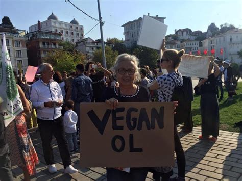 B Y Kadada Fayton Protestosu G Ndem Haberleri