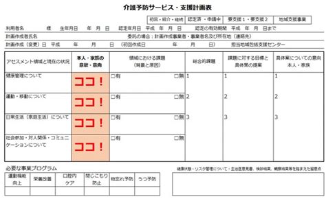 介護 予防 サービス 支援 計画 書 記載 例