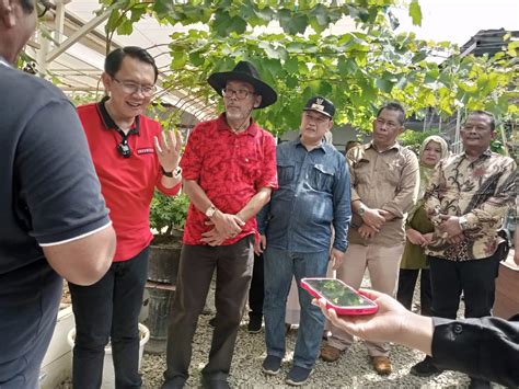 Pemkab Bekasi Dorong Petani Anggur Di Cibitung Ciptakan Varietas Lokal