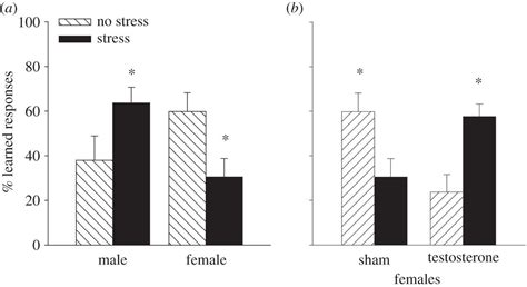 A Trip Down Memory Lane About Sex Differences In The Brain