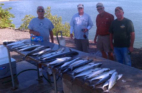 Tampa, New Port Richey - Fishing Report - Capt. Jason Dozier