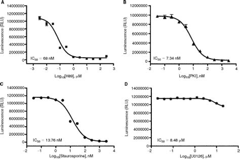 ADP Glo A Bioluminescent And Homogeneous ADP Monitoring Assay For