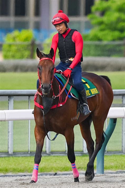 【安田記念】ロマンチックウォリアー もう少し馬体戻したい、シャム師「数日あるので心配ない」― スポニチ Sponichi Annex ギャンブル