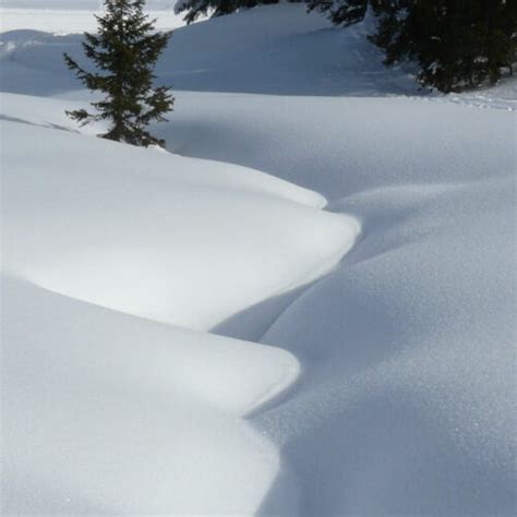 Formation au Détecteur de Victime d Avalanche Art itude Montagne