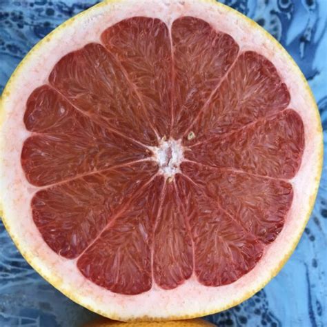 Buy California Organic Grapefruit Delivered - Zava Ranch