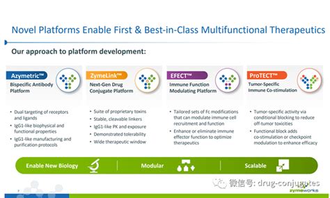 Zymeworks：双抗及双抗adc技术梳理 知乎