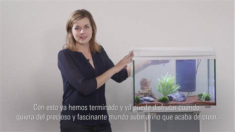 Tetra Como Montar Un Acuario En Pasos Youtube