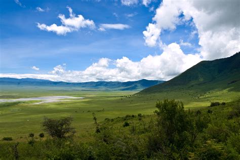 Ngorongoro Crater Conservation Area Pictures Africa Safari