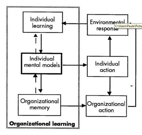 The Systems Thinker Managing Organizational Learning Cycles The