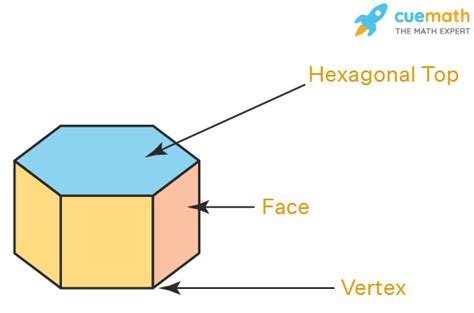 Octagonal Prism Faces Edges Vertices