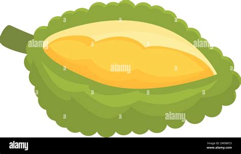 Organic Jackfruit Icon Cartoon Vector Fruit Food Sweet Exotic Stock