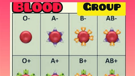 Blood Group Practical Youtube