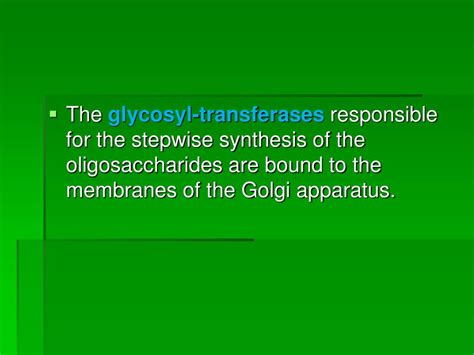 Ppt Synthesis Of Glycoproteins Powerpoint Presentation Free Download Id 3541303