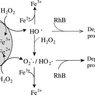 Mechanisms For The Activation Of H O On The Peroxidase Like Fe O