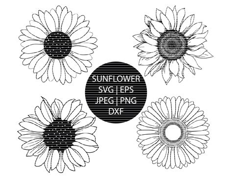 Sunflower Svg Bundle Sunflower Svg Flower Svg Sunflower Svg Etsy