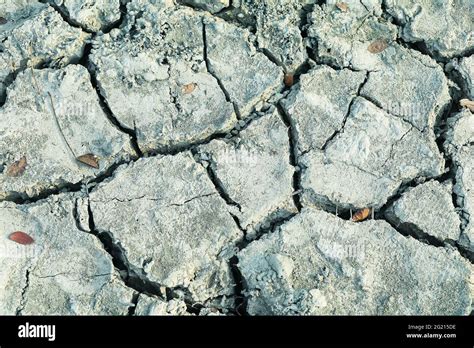 Cierre De La Tierra Seca Terreno Agrietado Para El Fondo El Suelo