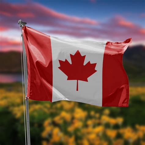 bandera de canada con envio gratis a partir de 50€ de compra