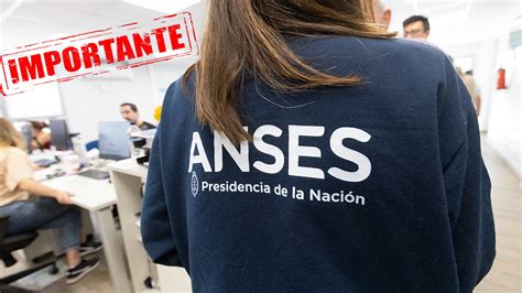 Anses Cu Ndo Y Cu Nto Cobrar N Auh Aue Suaf Y Otras Asignaciones En