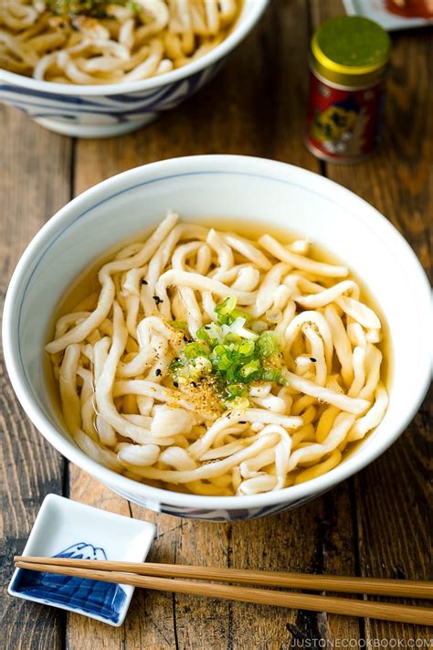 Udon Noodle Soup