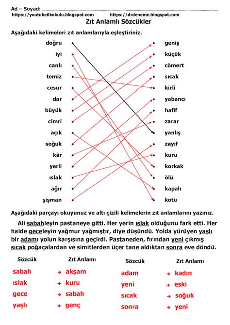 3 SINIF ZIT ANLAMLI SÖZCÜKLER 8