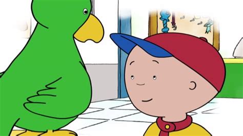 Caillou English Full Episodes Wheres Gilbert Videos For Kids