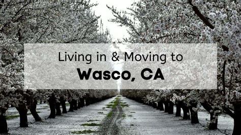 Is Living In Wasco CA Right For You 2023 ULTIMATE Moving To