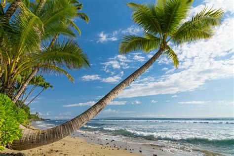 tropics, Coast, Sky, Waves, Scenery, Ocean, Hawaii, Palma, Trees, Nature Wallpapers HD / Desktop ...