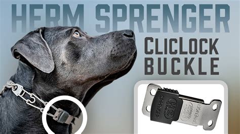 Herm Sprenger ClicLock Buckle Easily Apply Remove Your Pinch Collar