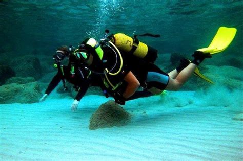 Buceo En Las Islas Del Rosario Cartagena De Indias Atrapalo Co