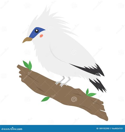 Jalak Bali - Bali Myna, Bird Of Indonesia Vector | CartoonDealer.com #189192390