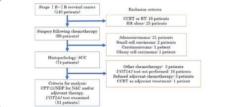 Patient Selection Process Ccrt Concurrent Chemoradiotherapy Rt