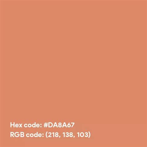 Pale Copper Color Hex Code Is Da8a67