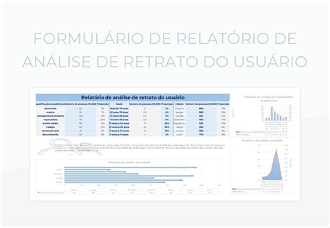 Planilhas Formul Rio De Relat Rio De An Lise De Retrato Do Usu Rio