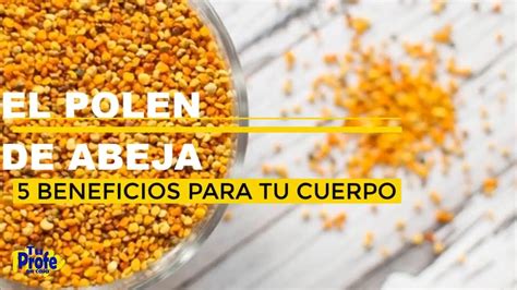 POLEN DE ABEJA Y BENEFICIOS PARA EL CUERPO HUMANO YouTube