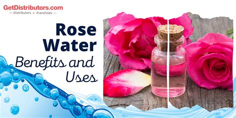 Rose Water Benefits And Uses Blog Distributors